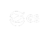 GS